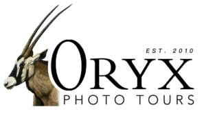 PNG_TransparentBG_BlackText png transparentbg blacktext 300x172 1